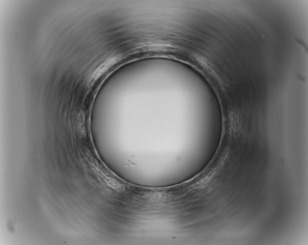 X0000100860970200807070929