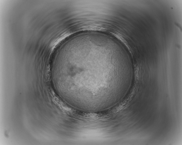 X0000100860971200807070929