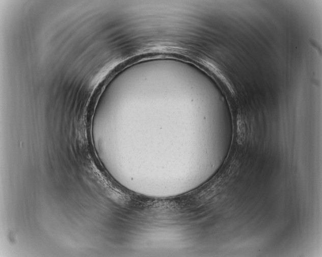 X0000100860972200807070929