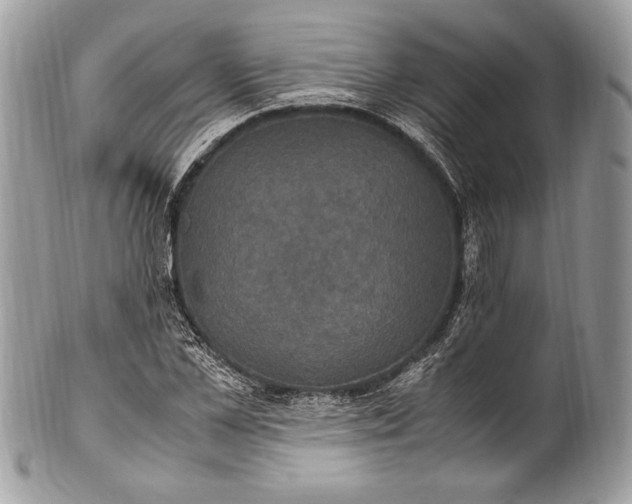 X0000100860973200807070929