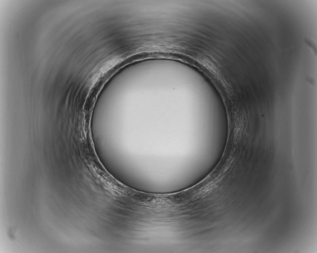 X0000100860974200807070929