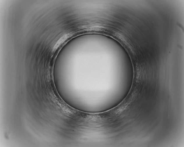 X0000100860978200807070929