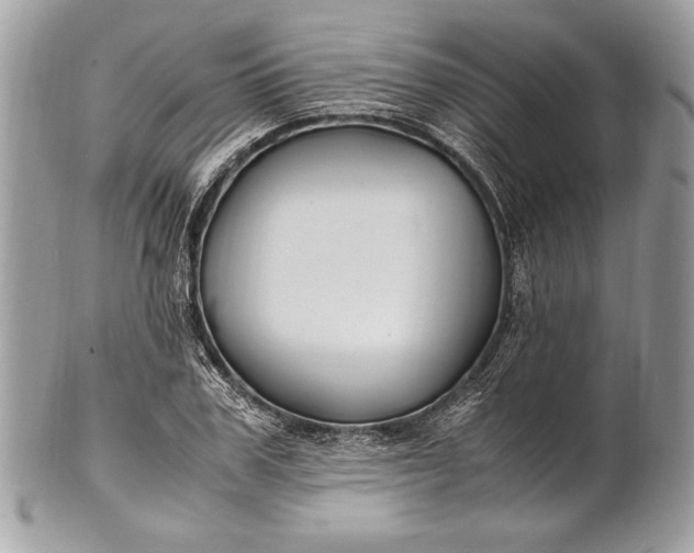 X0000100860979200807070929