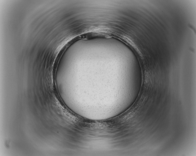 X0000100860980200807070929