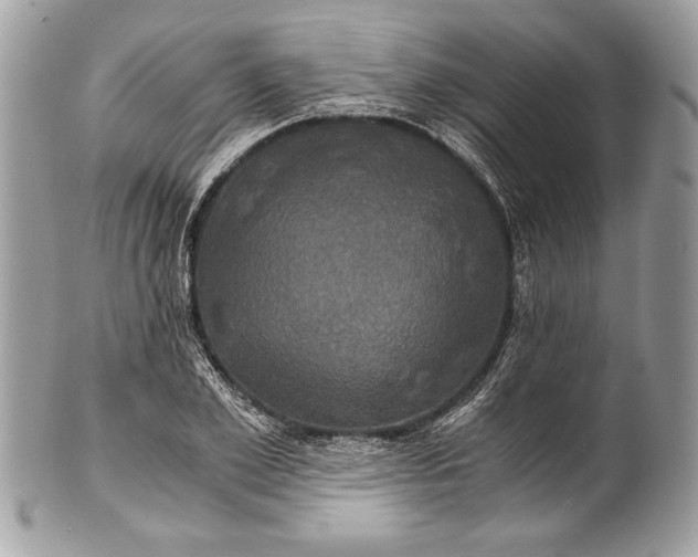 X0000100860981200807070929