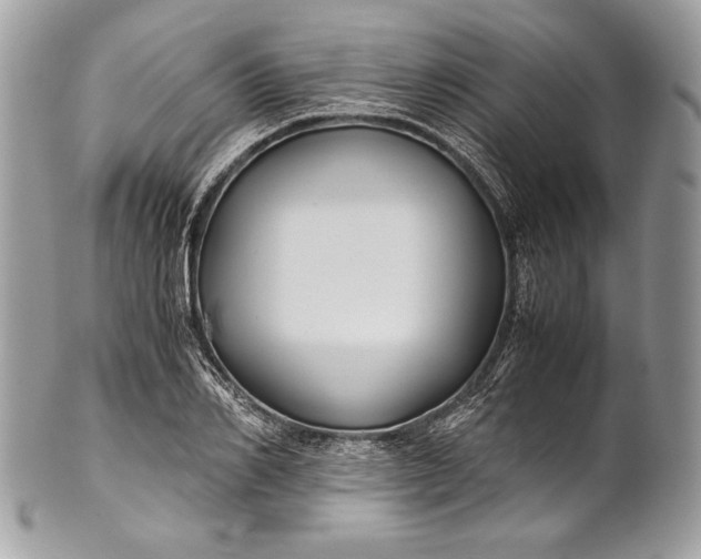 X0000100860982200807070929