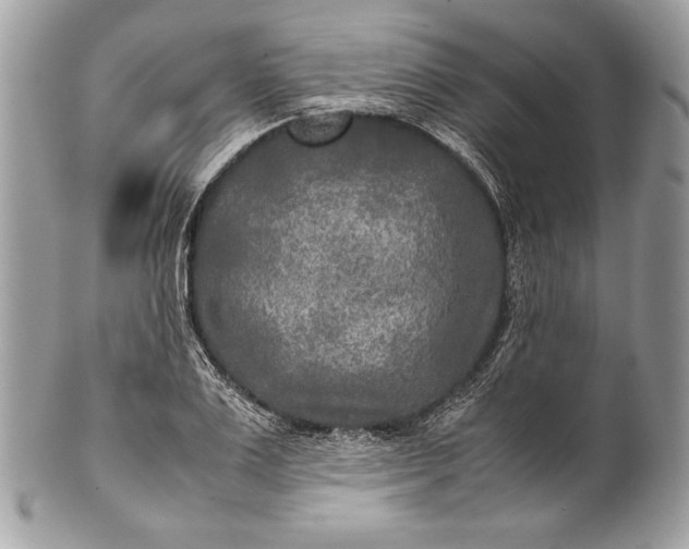 X0000100860983200807070929