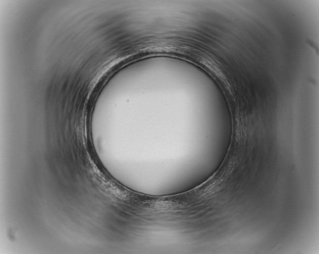 X0000100860984200807070929