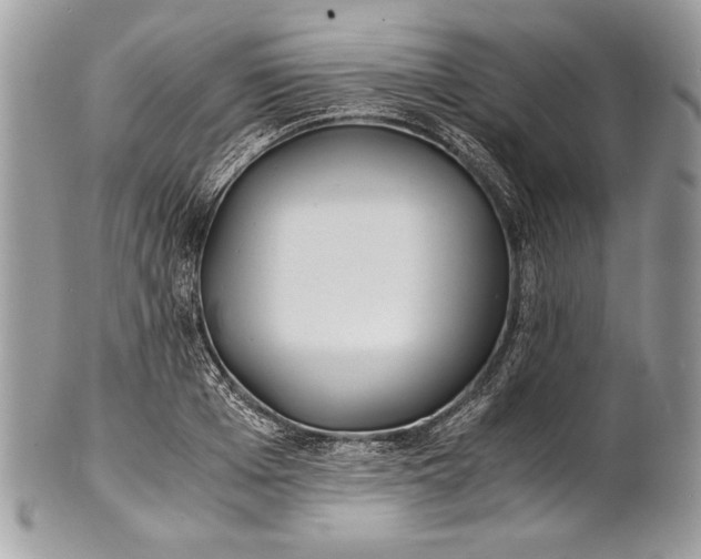 X0000100860985200807070929