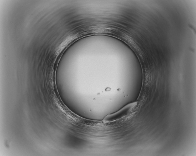 X0000100860986200807070929