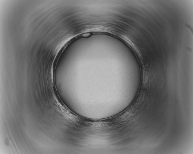 X0000100860988200807070929