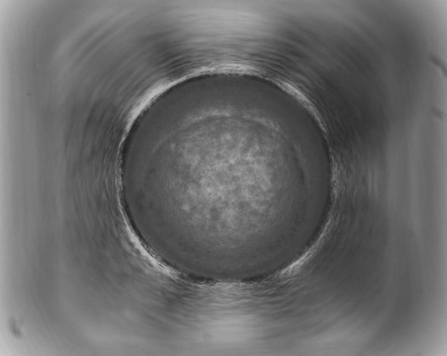 X0000100860989200807070929