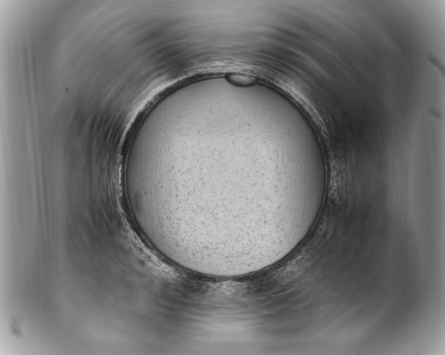 X0000100860992200807070929