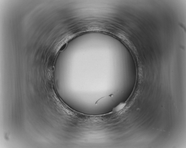 X0000100860993200807070929