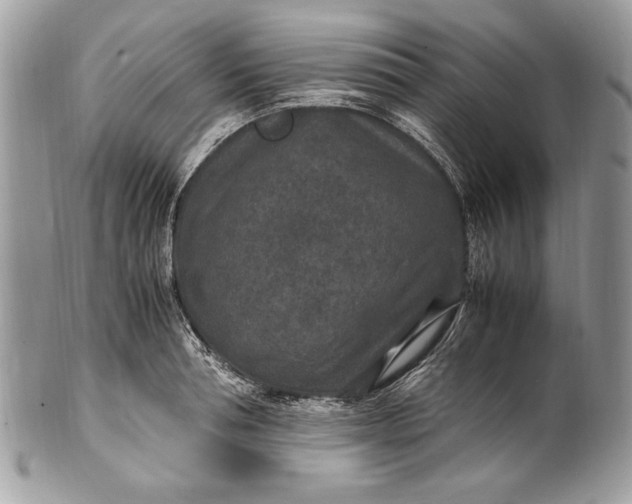 X0000100860994200807070929