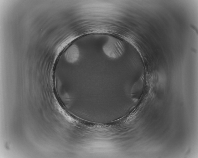 X0000100860995200807070929