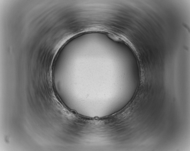 X0000100860996200807070929