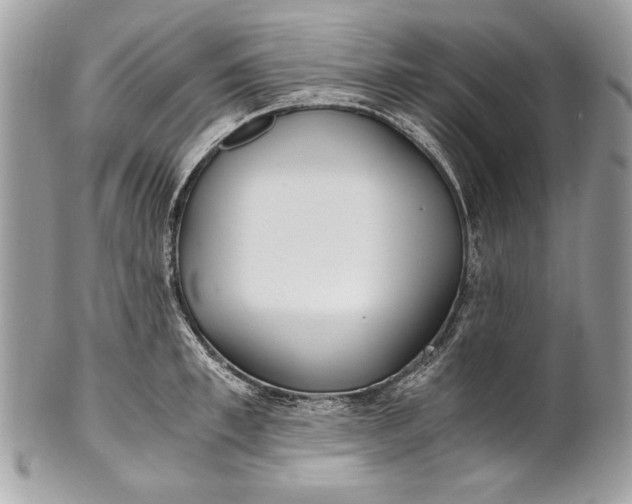 X0000100860997200807070929