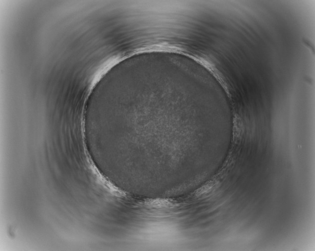 X0000100860998200807070929