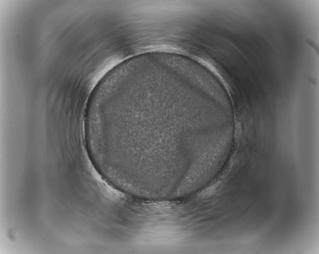 X0000100860999200807070929