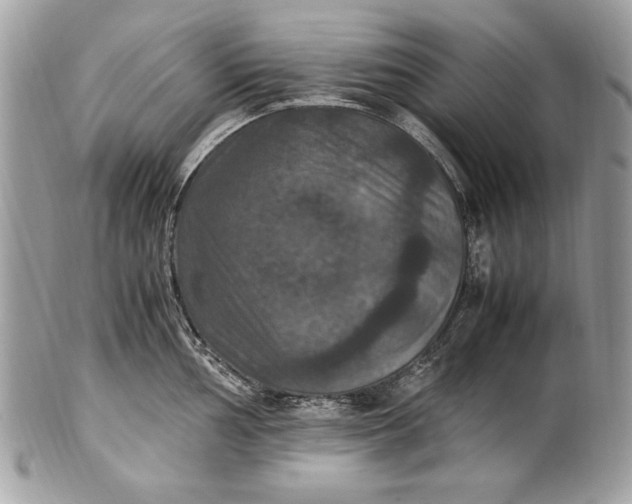 X0000100861002200807070929