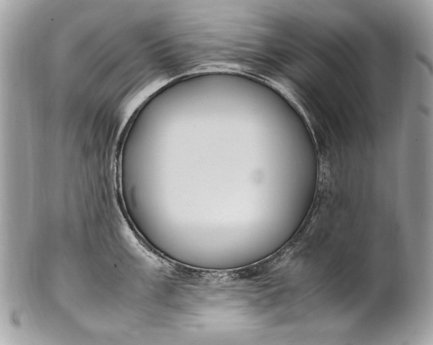 X0000100861003200807070929