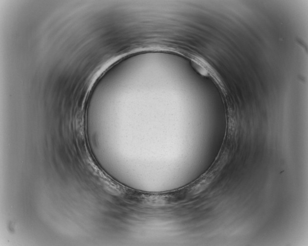 X0000100861004200807070929