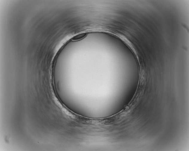 X0000100861005200807070929