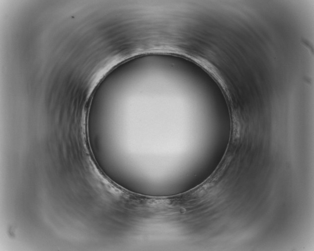 X0000100861006200807070929