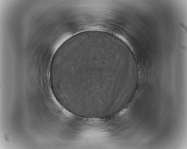 X0000100861007200807070929