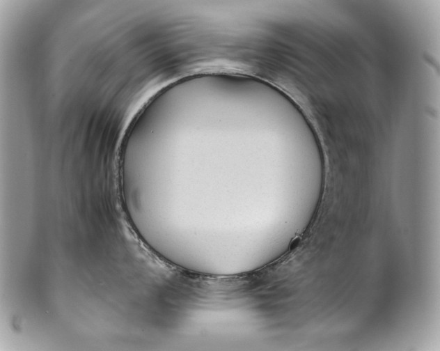 X0000100861008200807070929