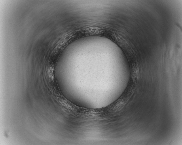 X0000100861010200807070928