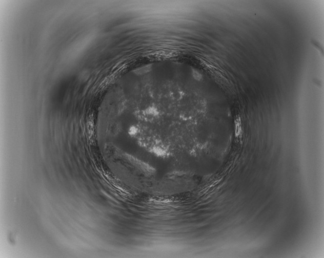 X0000100861011200807070928