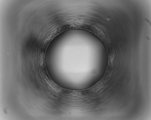 X0000100861012200807070928