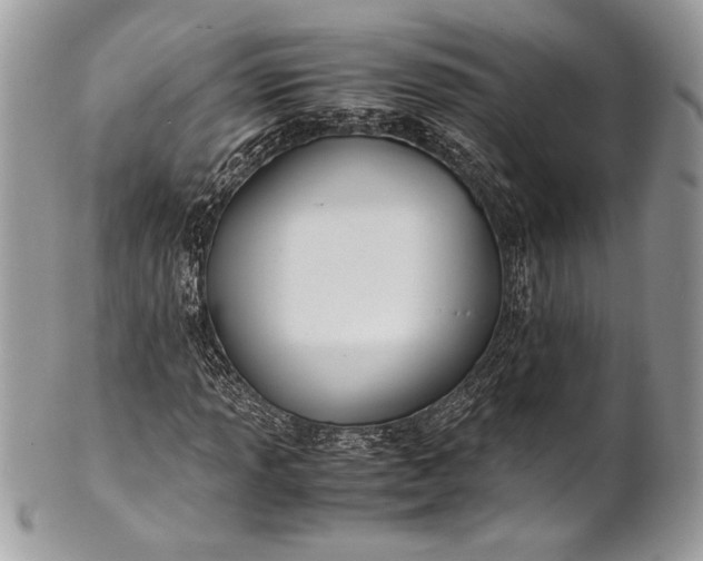 X0000100861013200807070928