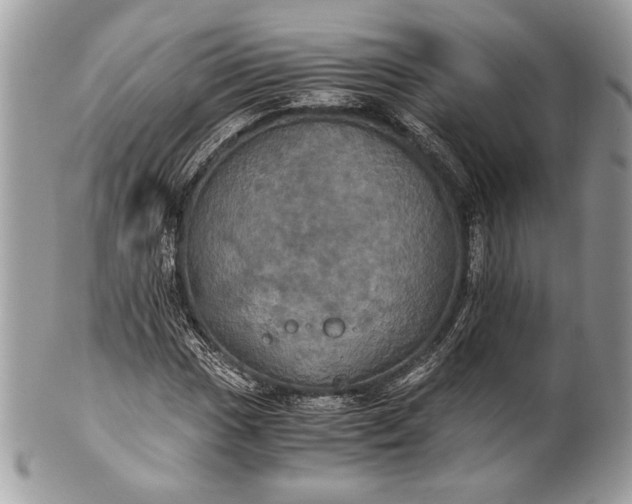 X0000100861017200807070928