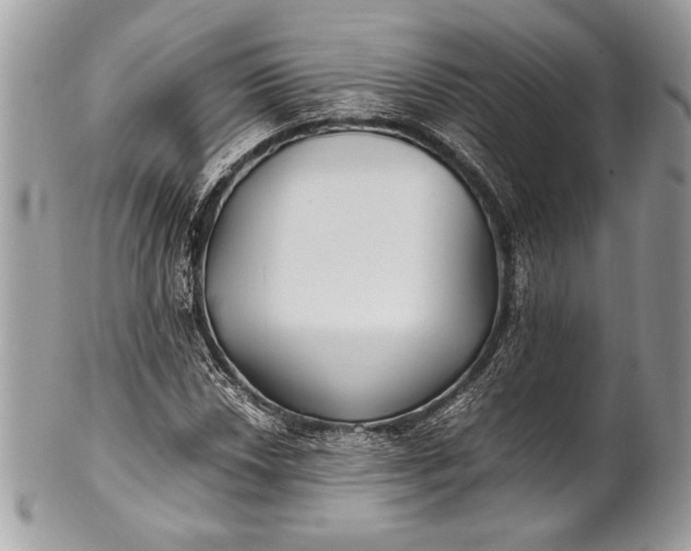 X0000100861018200807070928