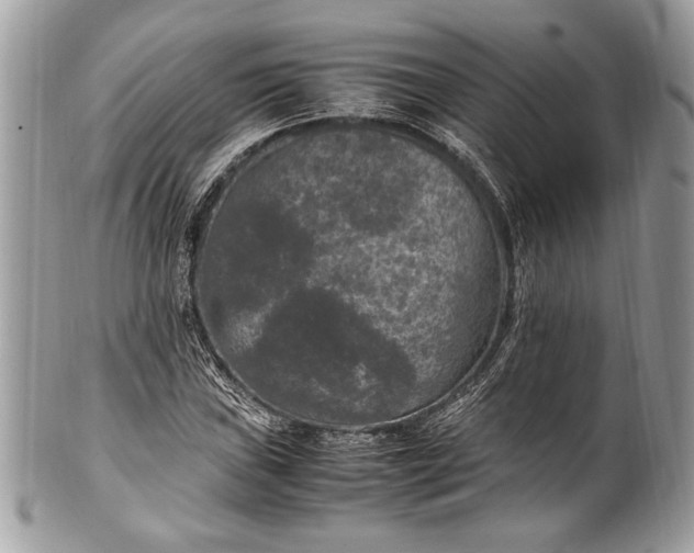 X0000100861019200807070928