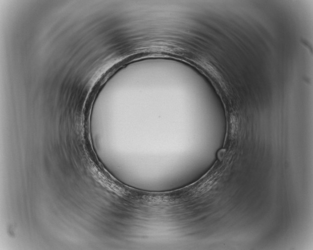 X0000100861020200807070928