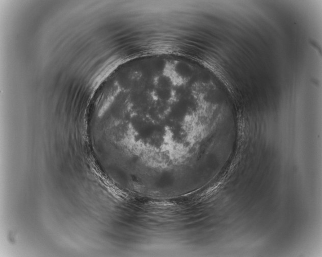 X0000100861023200807070928