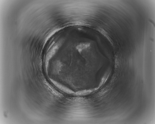 X0000100861024200807070928