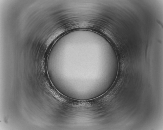 X0000100861026200807070928