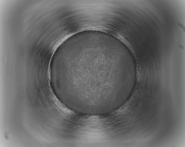 X0000100861028200807070928