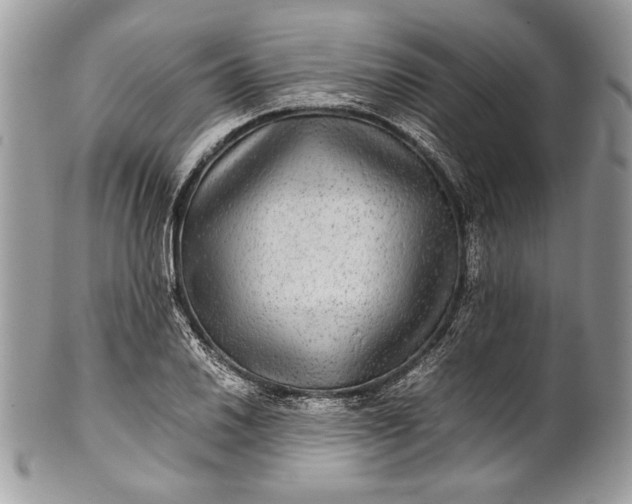 X0000100861030200807070928