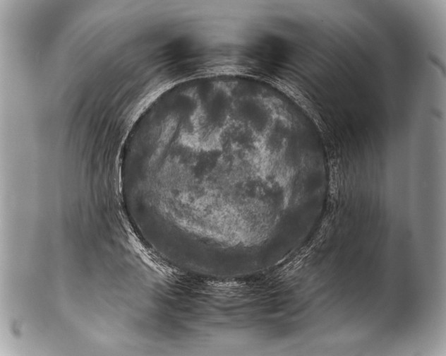 X0000100861031200807070928