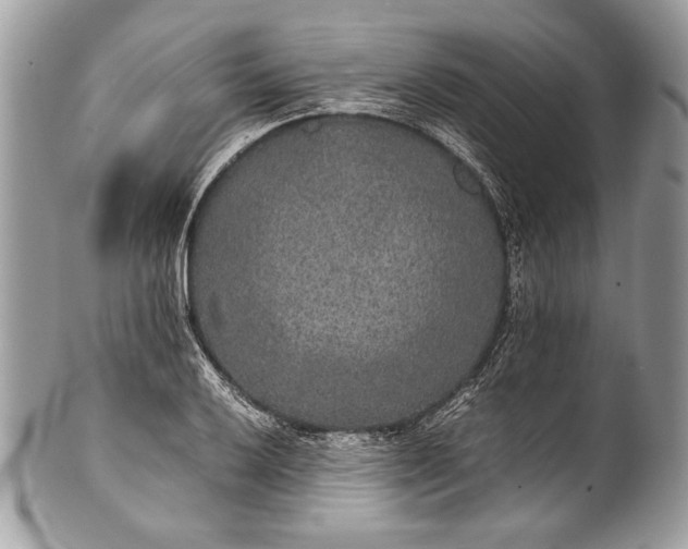 X0000100861032200807070928