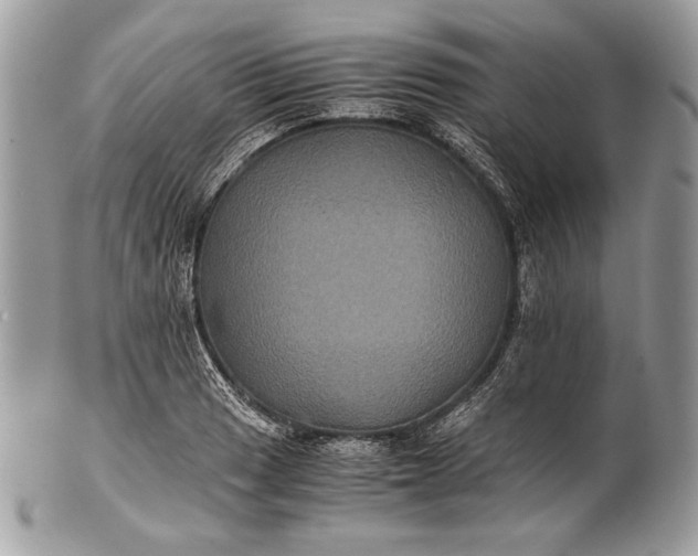 X0000100861033200807070928