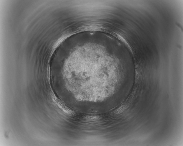 X0000100861035200807070929