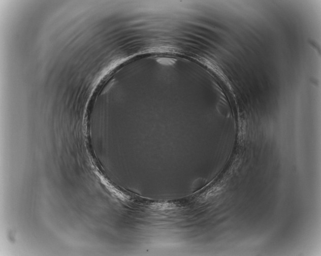 X0000100861037200807070929