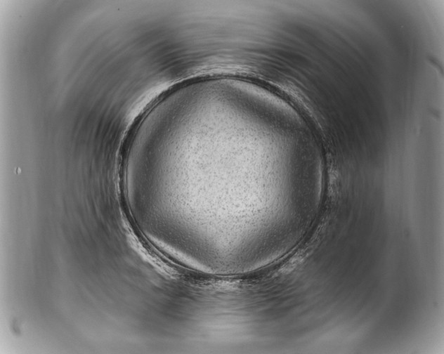 X0000100861038200807070929